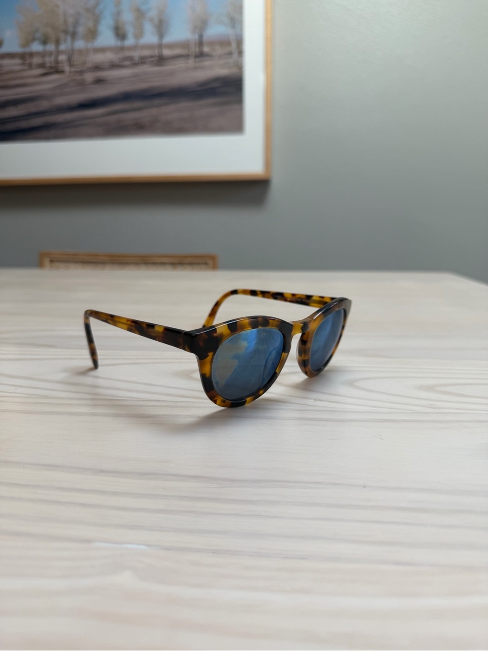Warby Parker Tortoiseshell Frame Sunglasses with Blue Lenses